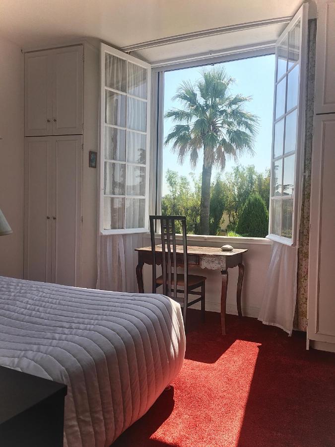 Superior Double Room,1583658305:JPEG