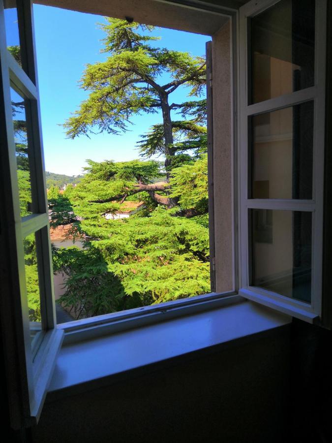 Superior Double Room Garden View,1707982854:JPEG