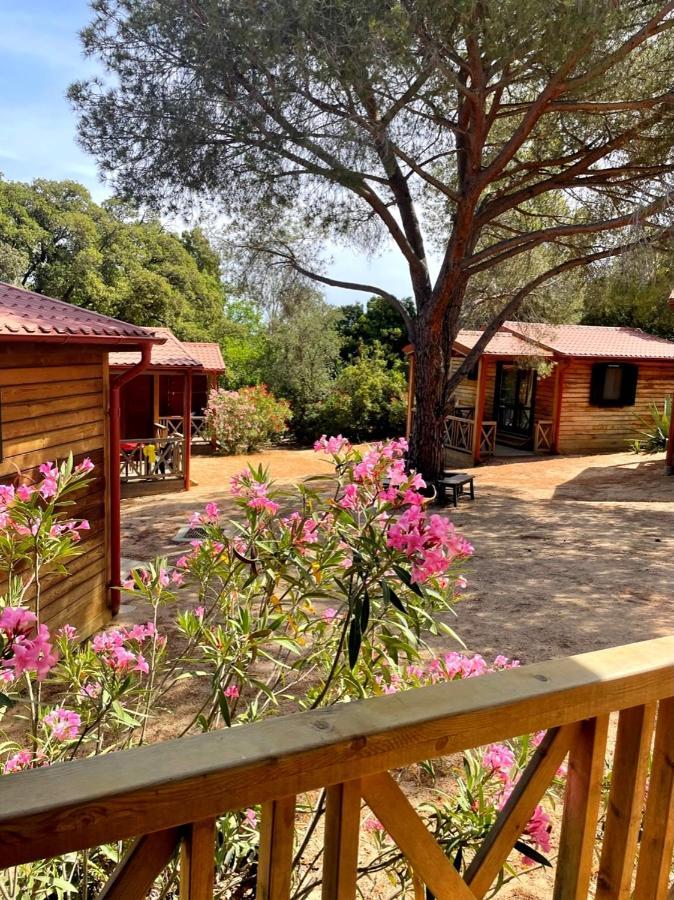 Chalet mit 2 Schlafzimmern