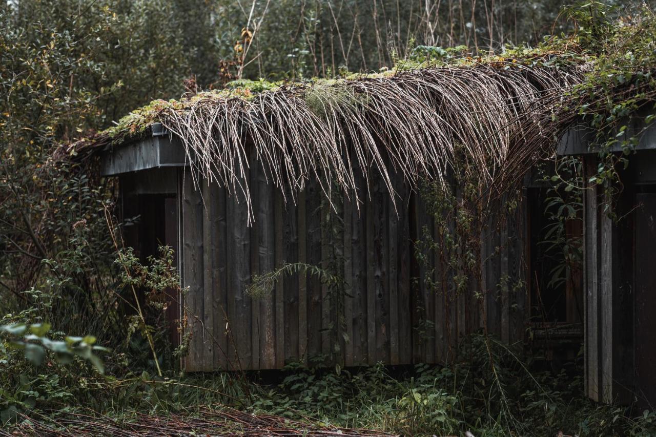 Hut