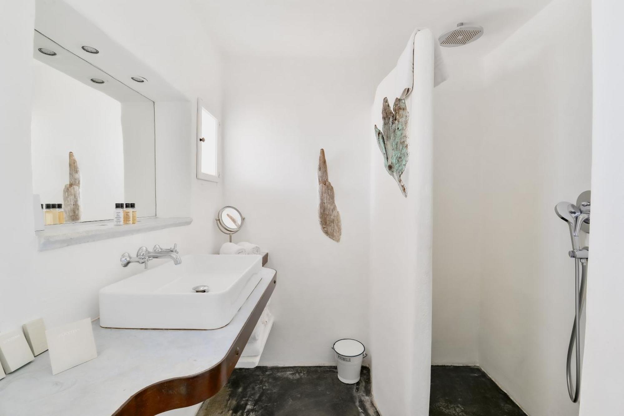 Superior Double Room Shower Lake view