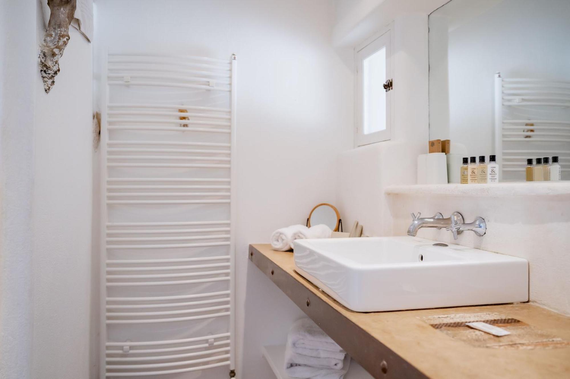 Superior Double Room Shower Lake view