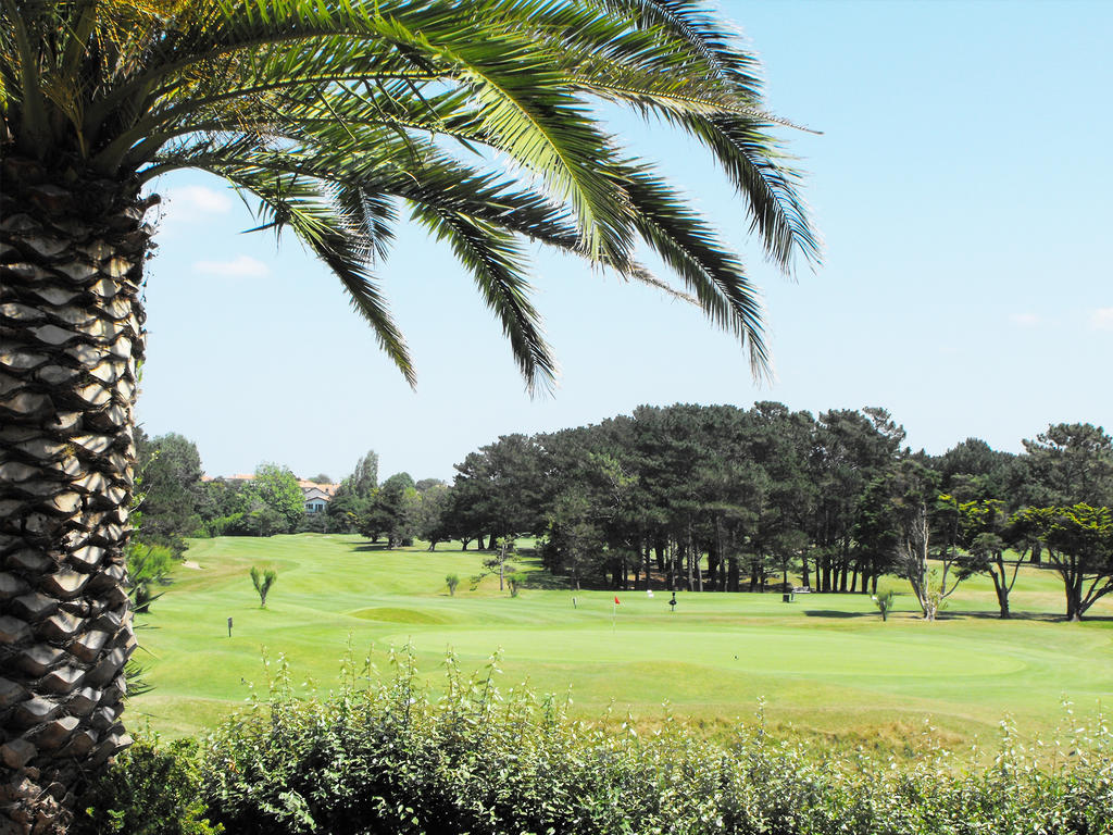 Estudio con vistas al campo de golf (2 adultos)