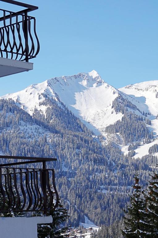 Double Room with Mountain View