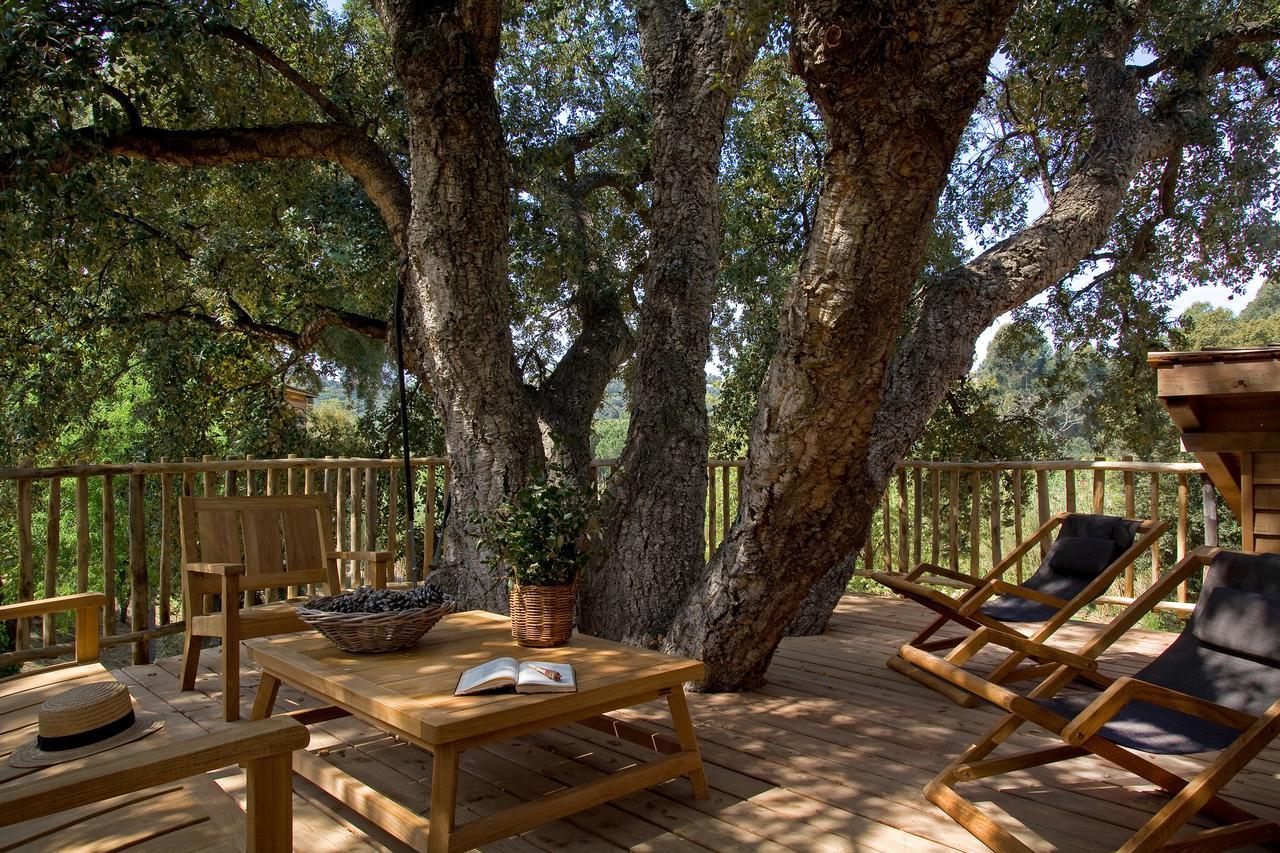 Family Tree House - Free Access to Spa and Private Beach,643460628:JPEG