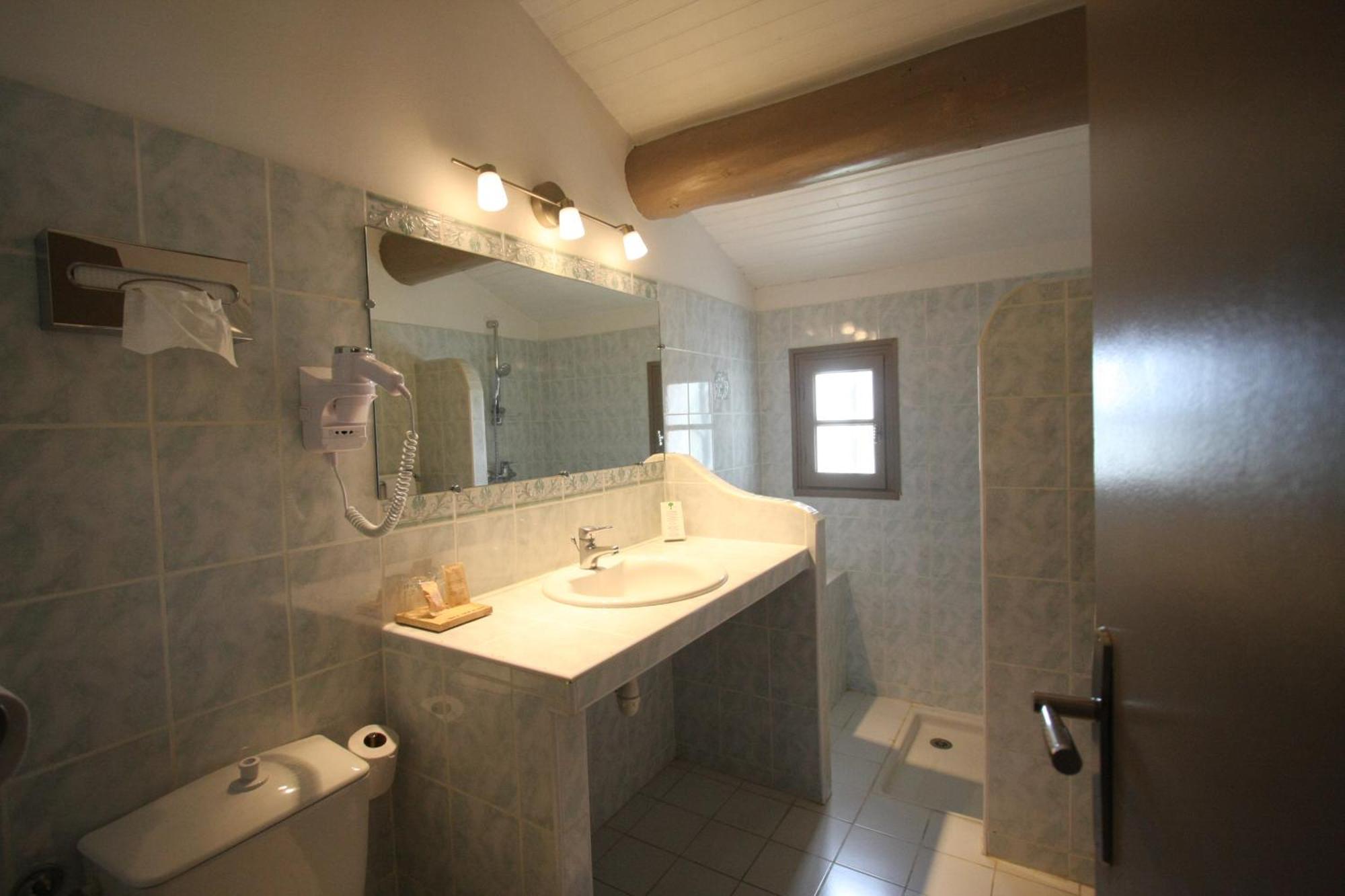 Deluxe Double Room Shower