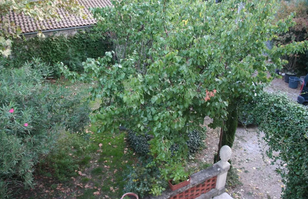 Le Mas Des Dames Appartement-1