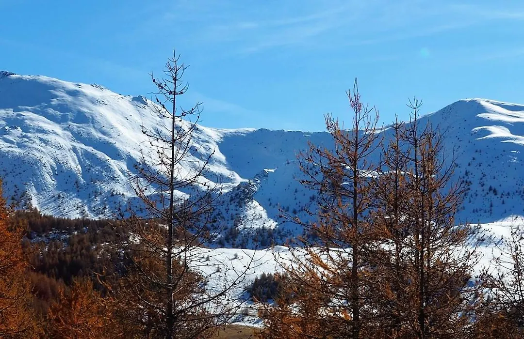 La Sauvagine B&B Skis aux pieds-1