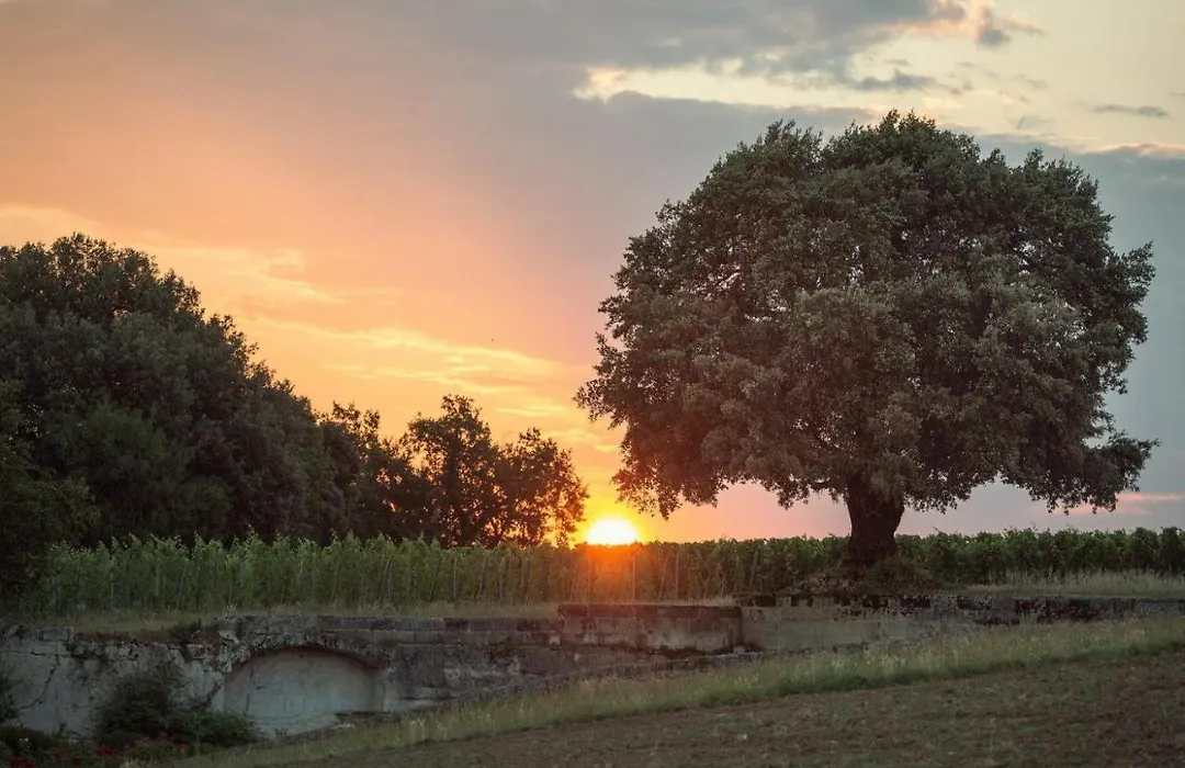 Le Relais De Franc Mayne Saint Emilion-1