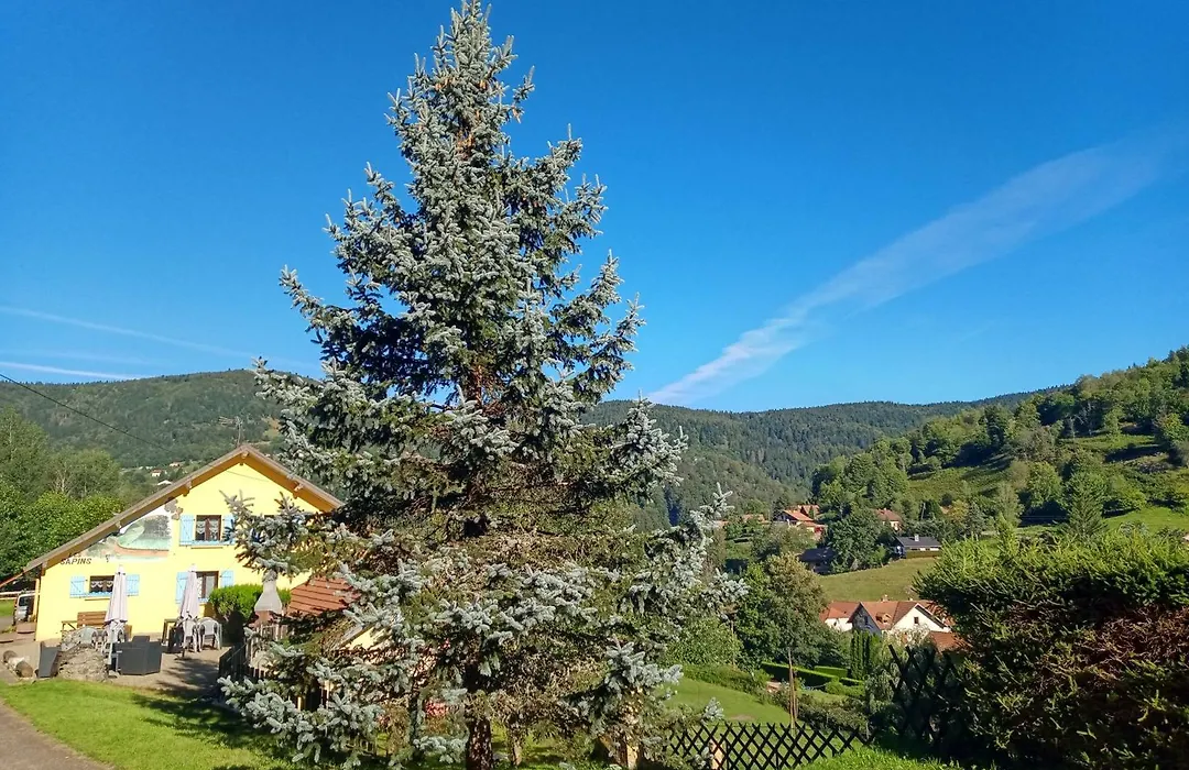 Les Sapins-1