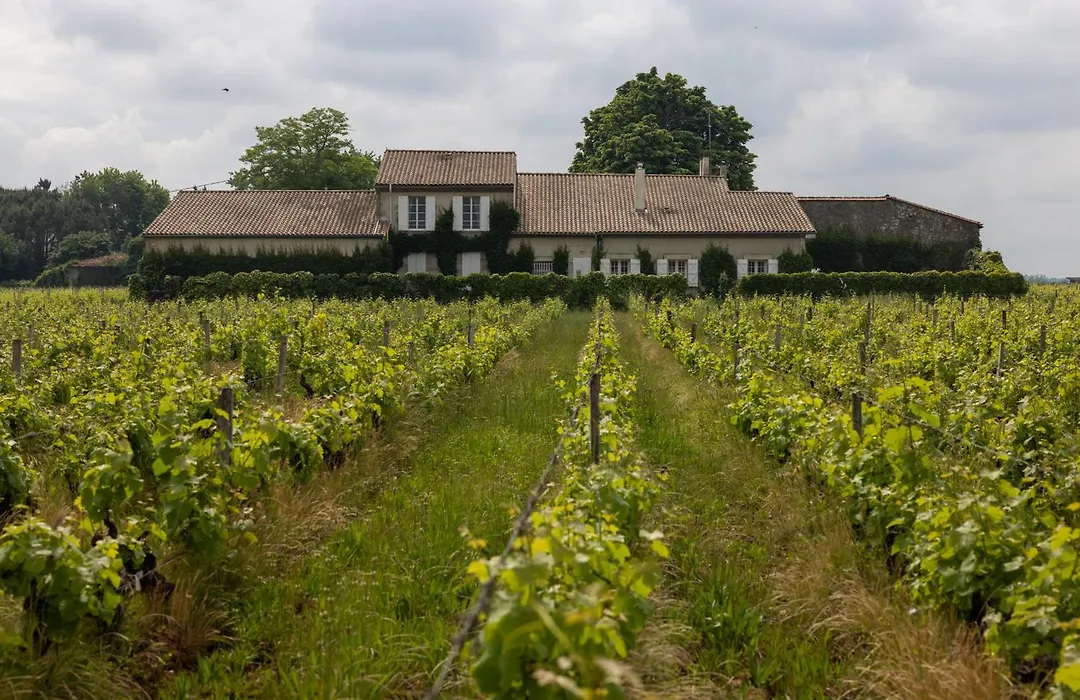 Le Jardin dans les vignes-1