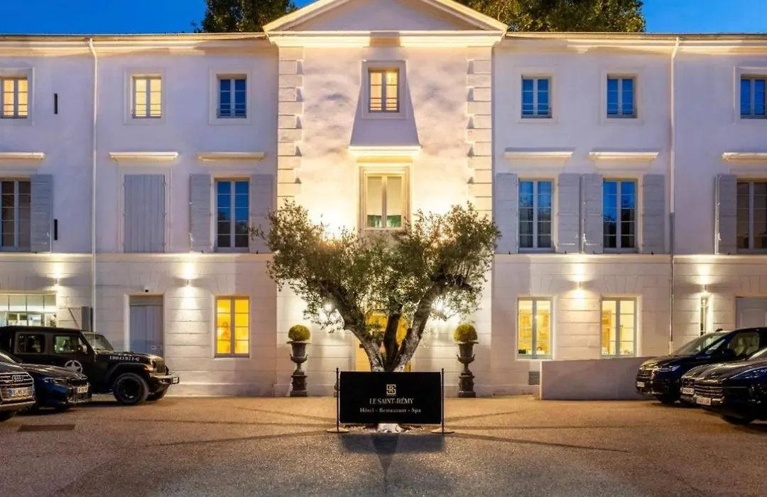 Hôtel Le Saint Remy&Spa-1