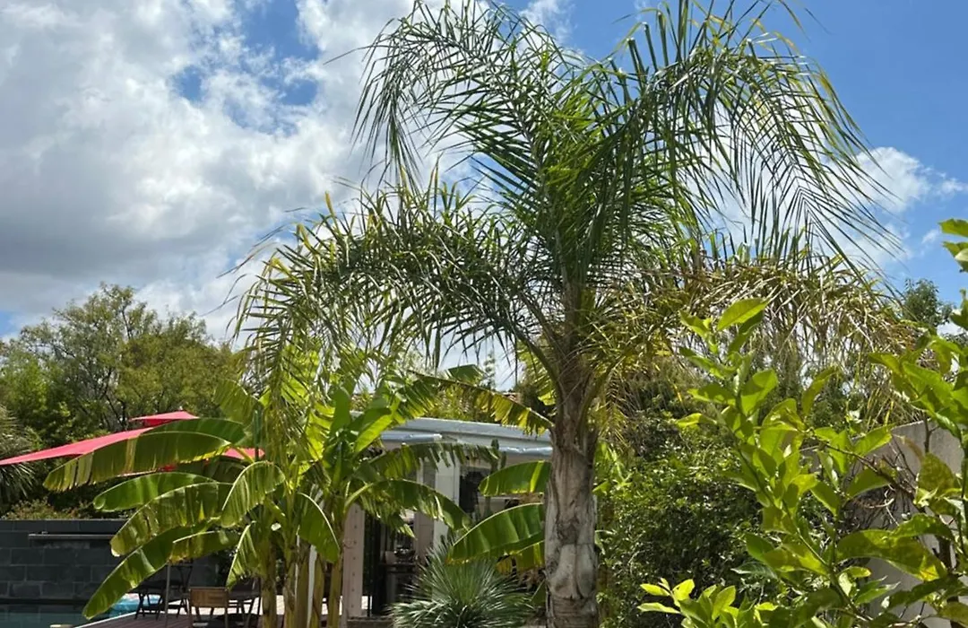 Villa Le Sud-1