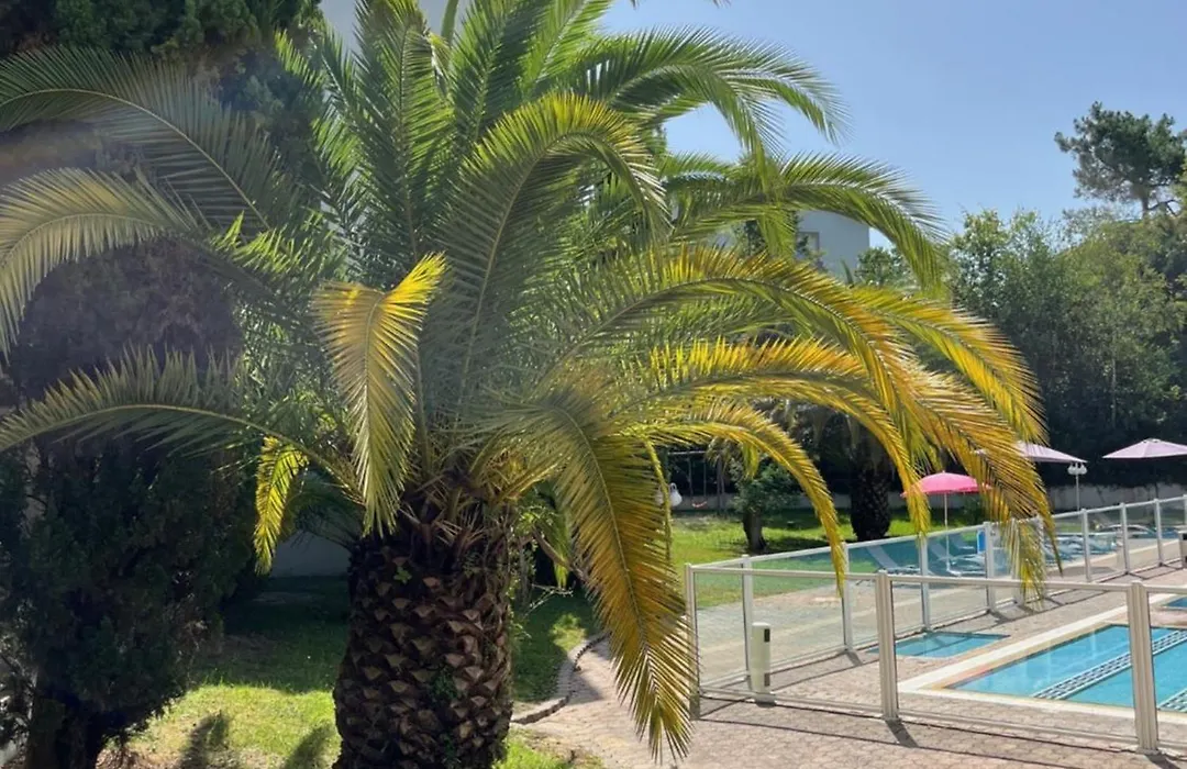 Hotel Résidence Anglet Biarritz-Parme-1