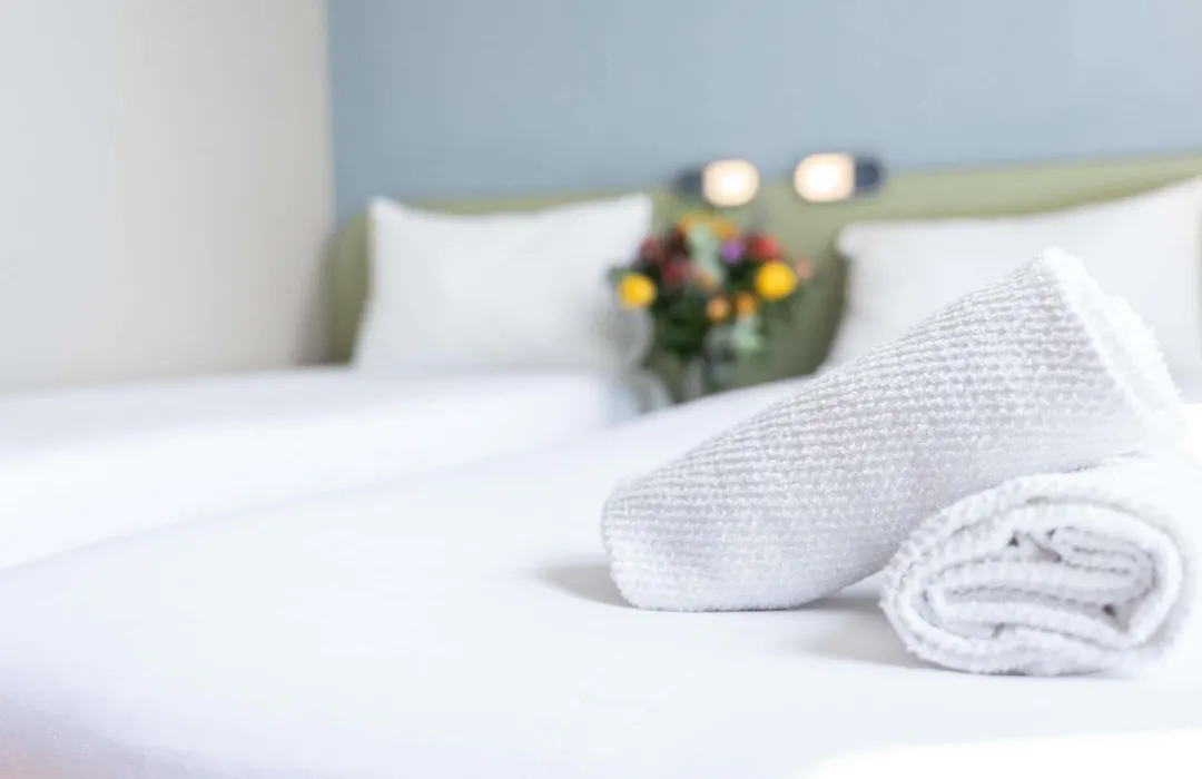 Ibis Budget Le Mans Centre-1