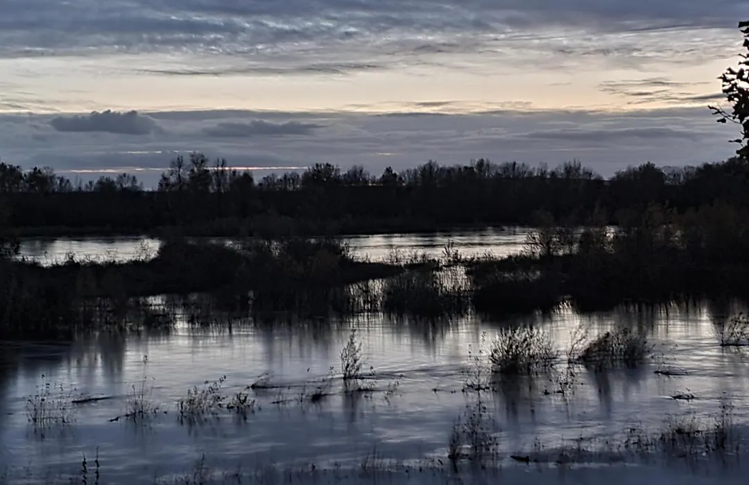 En bord de Loire-1
