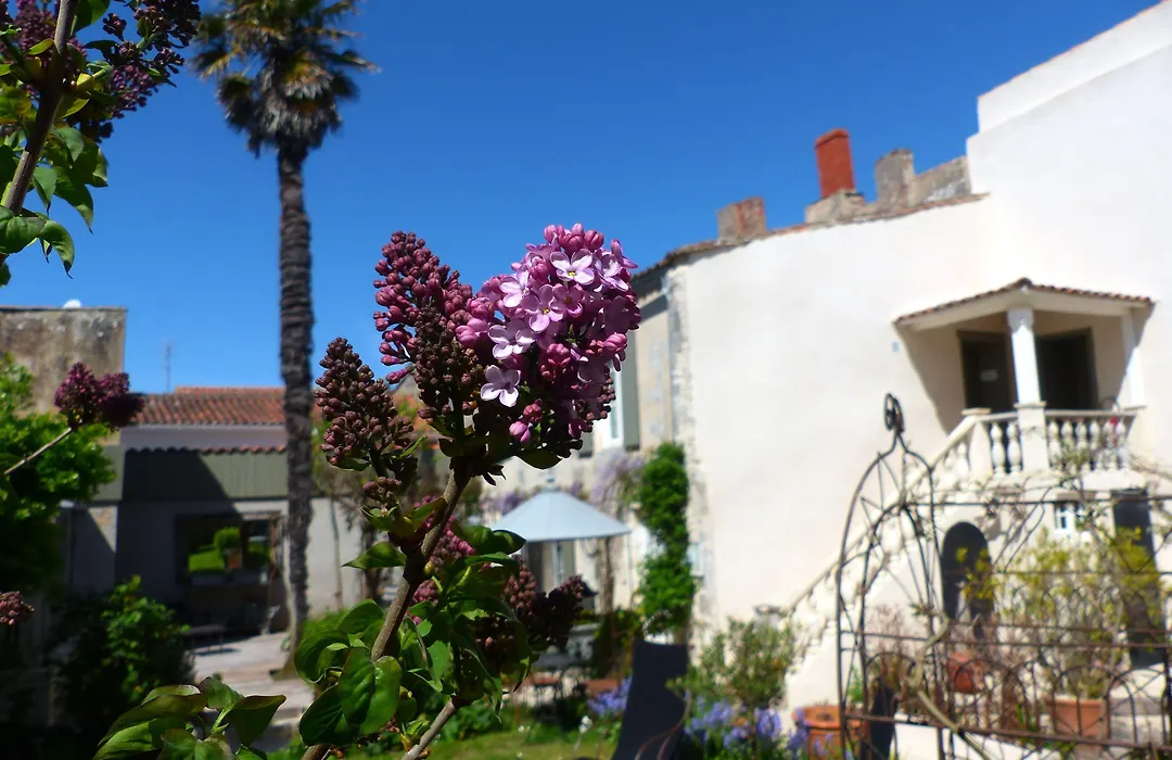 La Maison Douce-1
