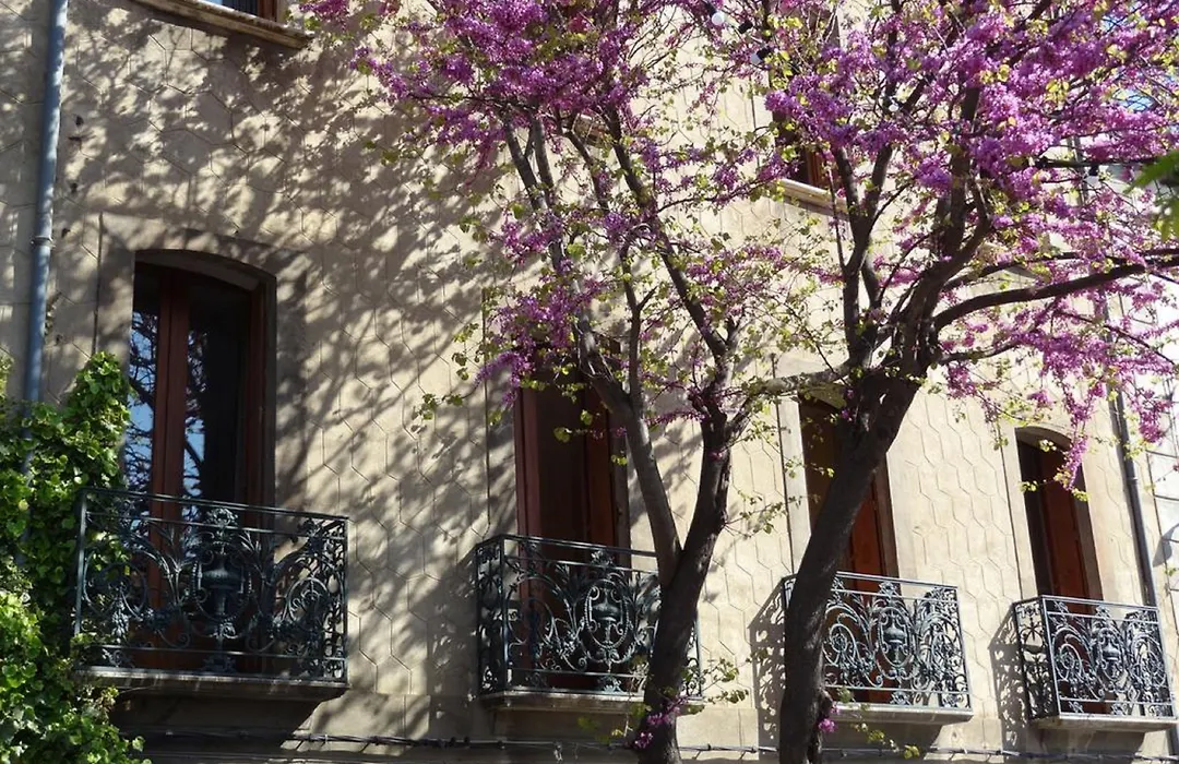 Les Santolines-1