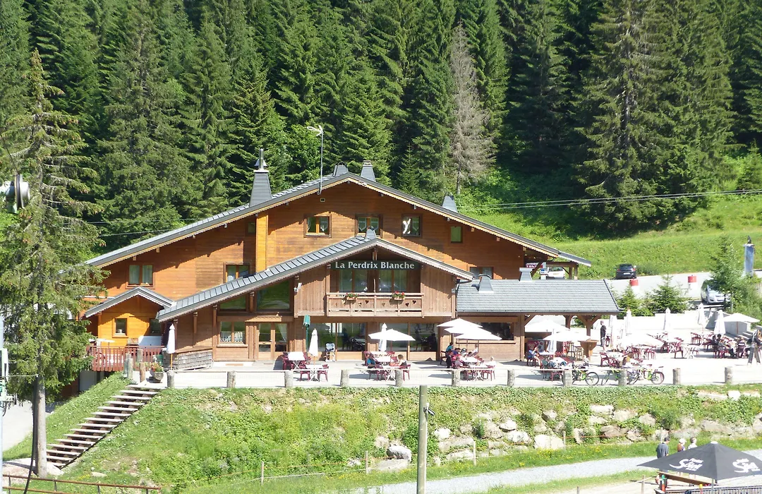 La Perdrix Blanche-1