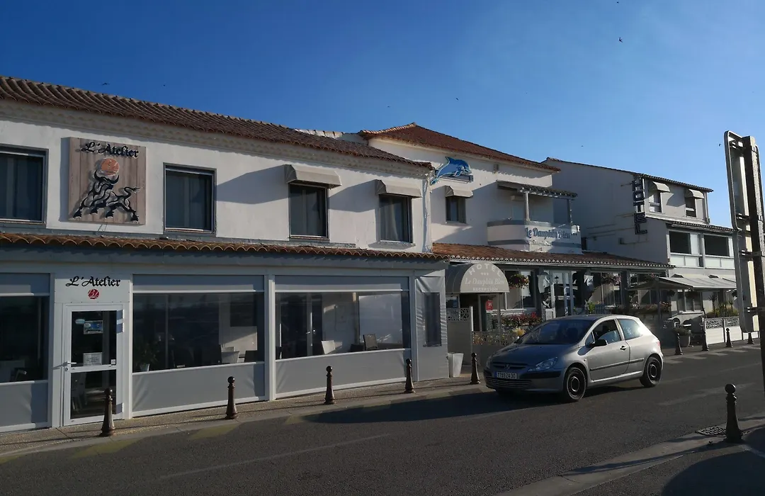 Hotel Le Dauphin Bleu-1