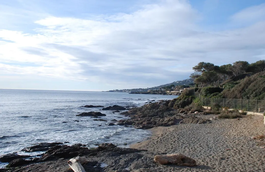 La Javanaise-1