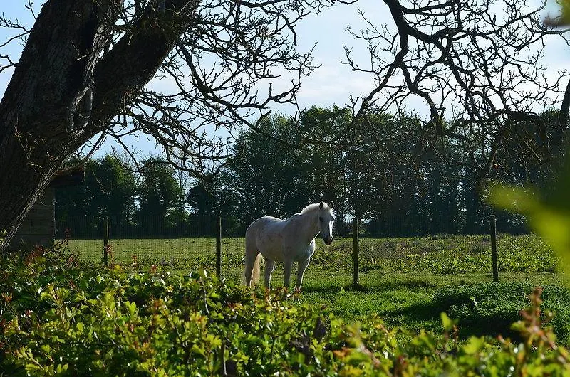 La Ferme du Bois Quesnoy-1