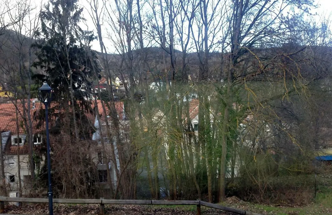 Chambres D'Hotes Et Gite Chez Martine-1