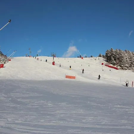 Chalet Pla Del Mir-2