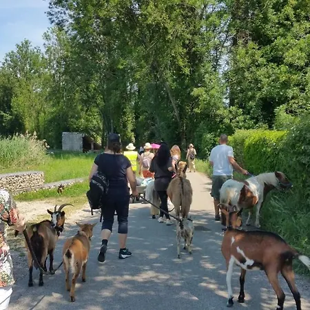 BASSE-COUR DE MONTIN au 256 chemin de la rocaille à 38510 VEZERONCE CURTIN-2