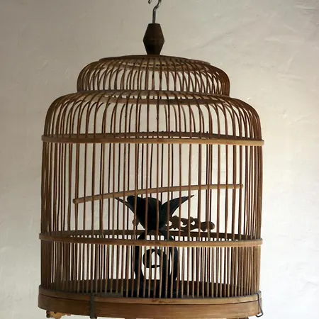 Longo Mai-3