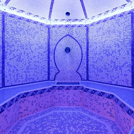 Le Palace Des Neiges-2