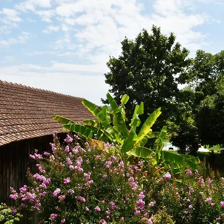 Les Bergeronnettes - Chambres D'Hotes Bergerac-3