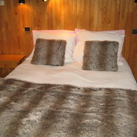 Chalet Hotel Regina-2