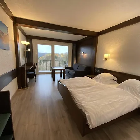 Logis Hotel-Restaurant Aux Trois Roses-2