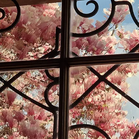 Villa Magnolia Wissembourg-3