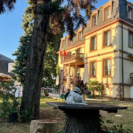 Hotel Le Manoir-3