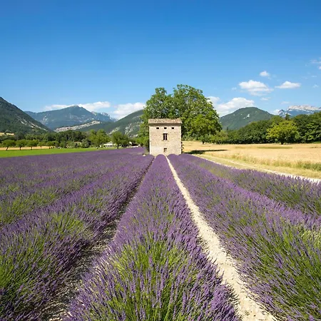 Vvf Sud Vercors-2