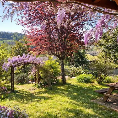 La Colline - Chambre D'Hotes - B&B-2
