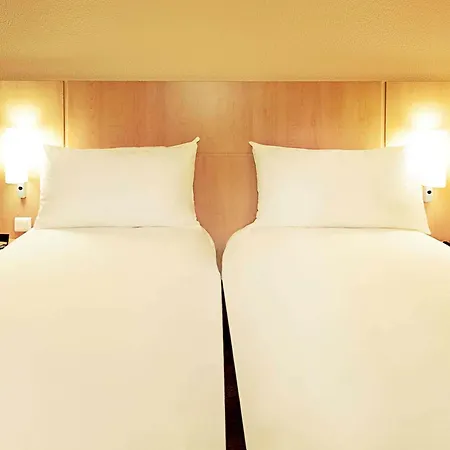 Ibis Rambouillet-3