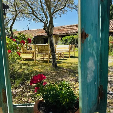 Mas La Provence-3