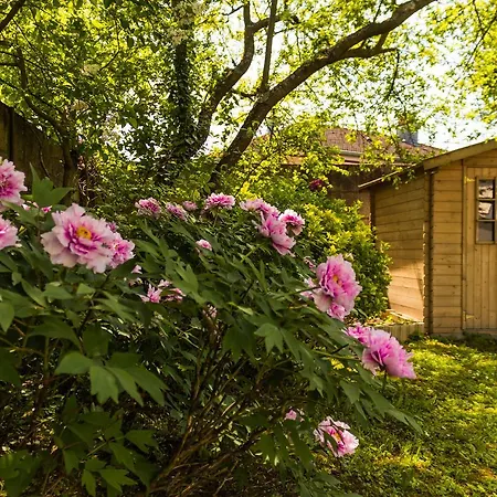 Carpe Diem Bed & Breakfast-3