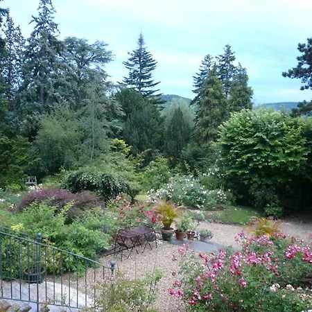 La Pluie De Roses-2