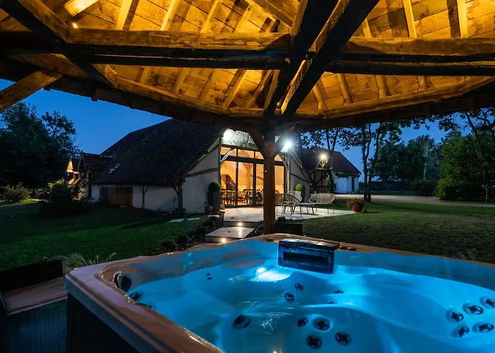 La Grange De Leonie Chambres D'Hotes Piscine Et Spa Calme Et A 5Min A71 A20 A85 Méry-sur-Cher