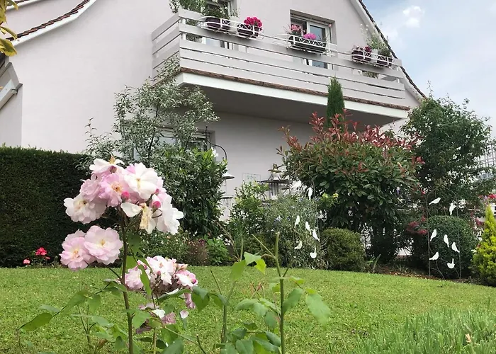 Gite Riquewihr "C'Est Beau La Vie Alsace"