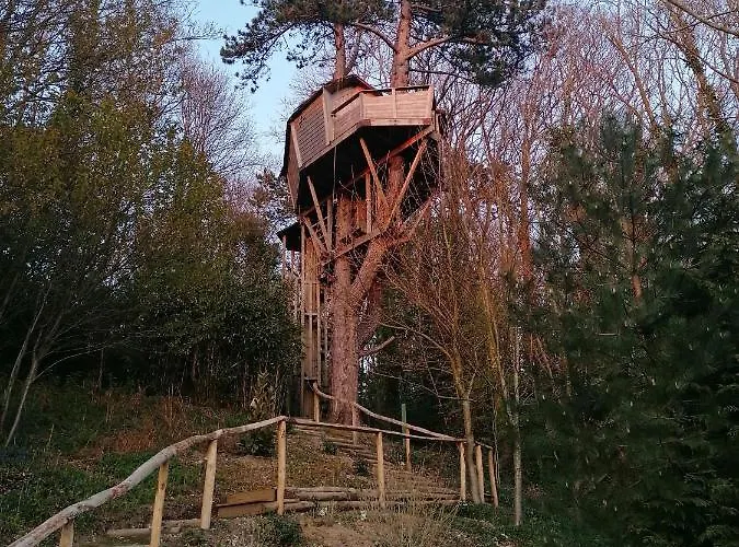 Sherwood Tree