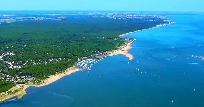Océan Forêt