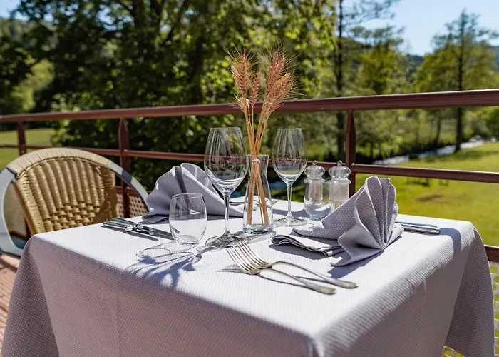 Logis Hotel Des Vosges