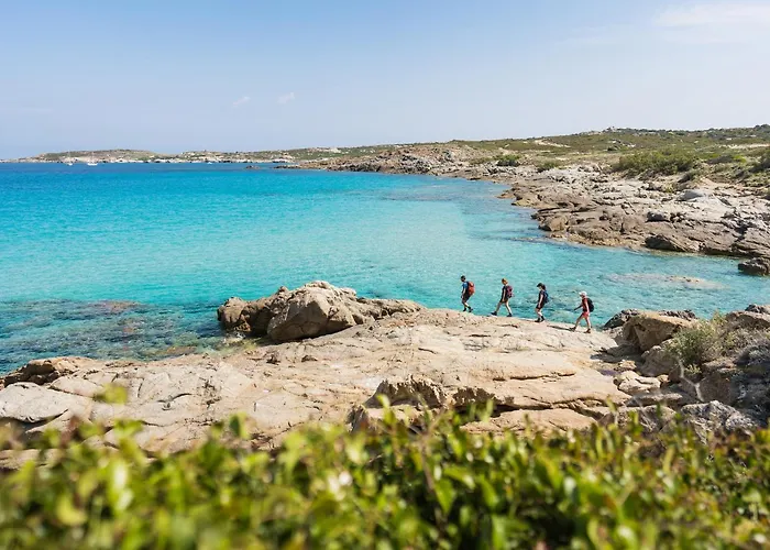 Feriendorf zum störrischen Esel Calvi 