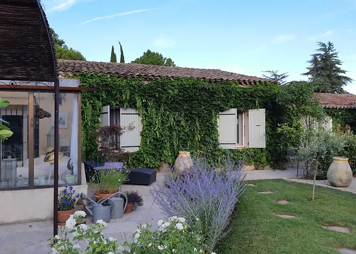 Le Chat Sur Le Toit Lourmarin