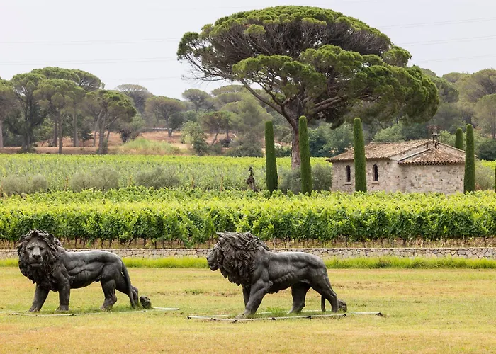 La Bastide Du Clos des Roses - Les Collectionneurs